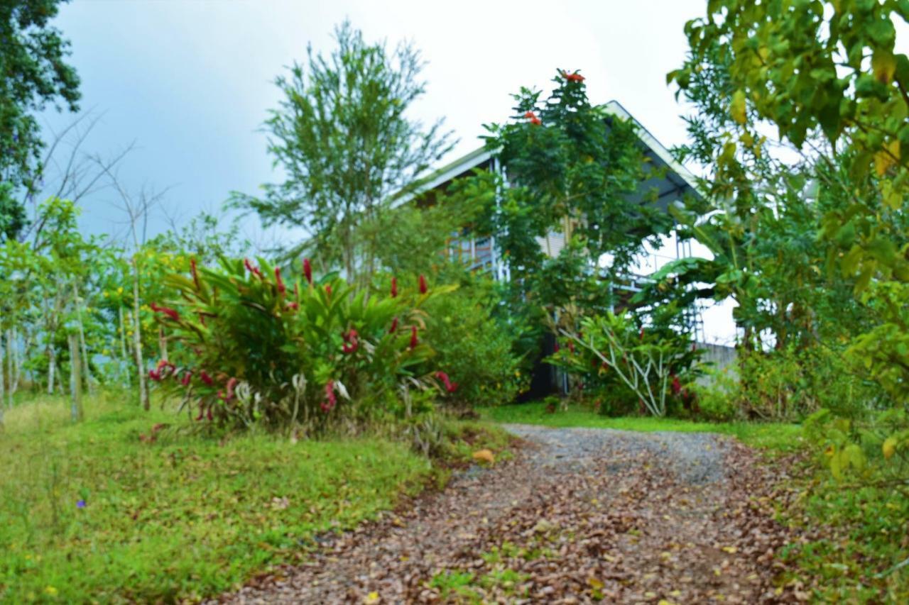 Hotel Rio Celeste Finca L' Etoile Celeste El Achiote Exterior photo